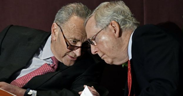 Watch: McConnell &amp; Schumer Re-Elected Senate Leaders With Different Opinions On Voter Fraud