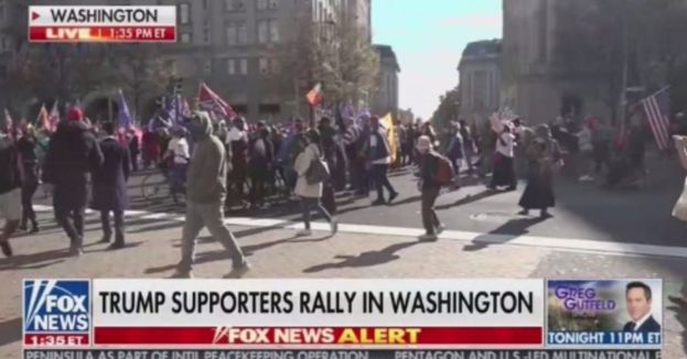 Watch: MAGA Nation Descends ON DC To Demand All &#039;Legal Votes Counted&#039;