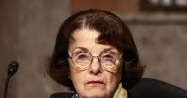 Watch: Progressives Turning &#039;Once Adored &amp; Untouchable&#039; Dianne Feinstein Into Pariah In California