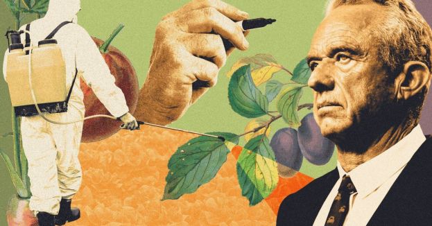 New Report Details Heated White House Meeting Involving MAHA And Farm Leaders—Even Trump Was Concerned!