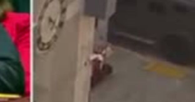 Trump's UN Ambassador Mike Waltz Dismantles Globalists For Defending Maduro