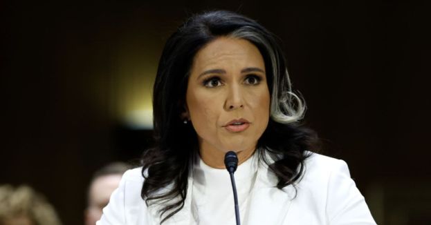 Explosive Claims Emerge Over Secret Plot To Push Tulsi Gabbard Out