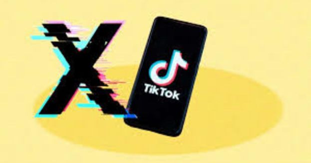 TikTok CEO Turns To Elon Musk For Advice—What Are They Planning Behind Closed Doors?