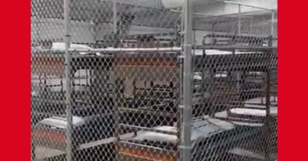 Watch: Quick Tour Inside Alligator Alcatraz