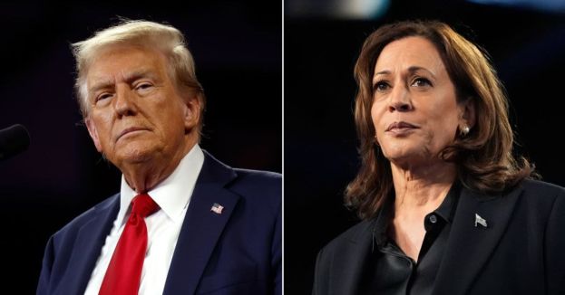 Let Those Tears Fall: Dems Just Don't Know How To Handle This Annihilation!