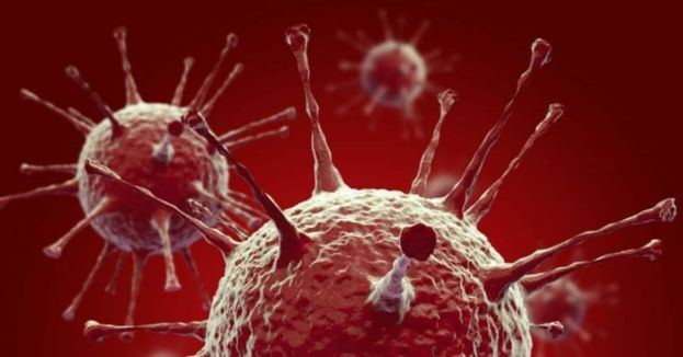 Uh-Oh! CDC Reports First-Ever Case Of H5N1 Bird Flu In U.S.—Get The Details You Need HERE!