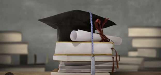 Trump Just Schooled The 'Useless Degree' Crowd—And It Was Brutal!