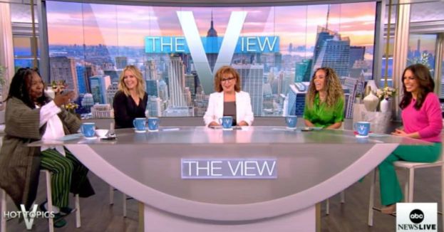 YIKES! 'View' Host Actually Said This Live‚ On Air!