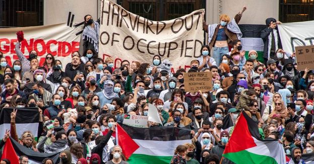 Harvard Alum Calls For Expanded U.S. Department Of Education Probe Over Alleged Inaction On Calls For Violence Against Jews