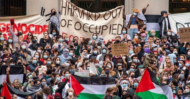 Harvard Alum Calls For Expanded U&period;S&period; Department Of Education Probe Over Alleged Inaction On Calls For Violence Against Jews