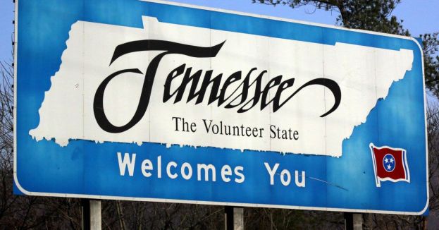 Dark-Money Network Aims To Influence Tennessee Special Election Using Spoiler Tactics