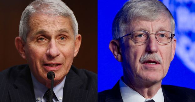 Virologist's Critique Of Fauci And Collins Sparks Renewed Scrutiny