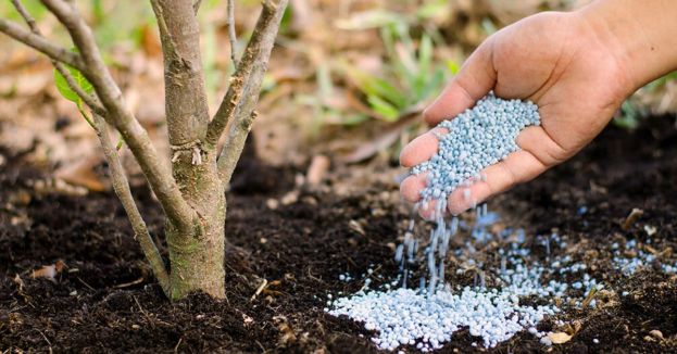 Oklahoma Republicans Just Voted To Turn Human Bodies Into Fertilizer