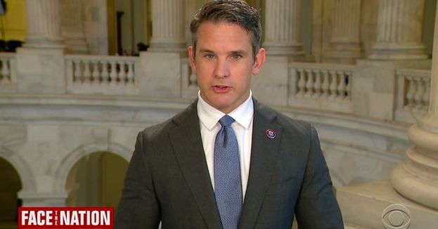 RINO On The Hunt: Kinzinger Wants All &#039;America First&#039; Members Stripped From Committees