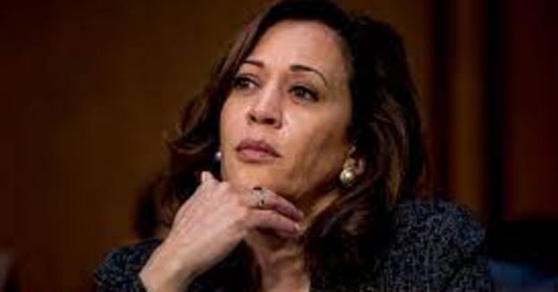 Must See: If You Believe What Kamala Is Saying About Inflation, She Has A Really Cheap Bridge For You To Buy