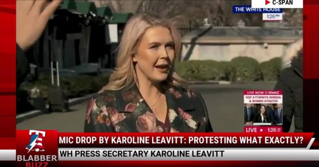 Mic Drop By Karoline Leavitt: Protesting What Exactly?