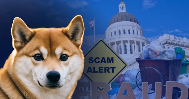 DOGE Provides UPDATE On The BIGGEST Scam Found By Musk's Team!