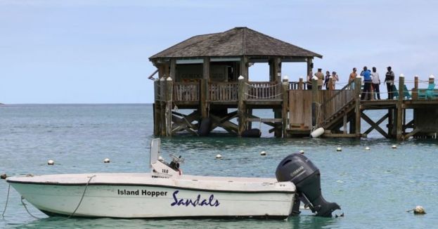 Right Next To Him: Horrific Shark Attack Leaves Newlywed A Widower (Video)