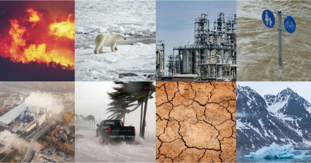 Wait—Is Everything We’ve Heard Wrong? Climate Scientist Challenges Sea Level Rise Claims