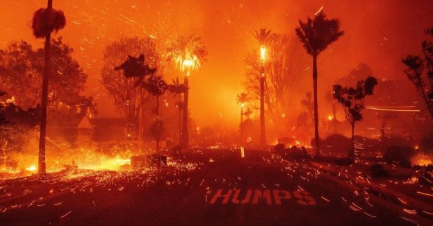 Newsom's Nightmare: The Palisades Fire Arrest Is Only The Spark—The Real Inferno Is Just Beginning