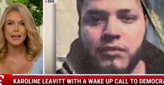Karoline Leavitt With A Wake Up Call To Democrats
