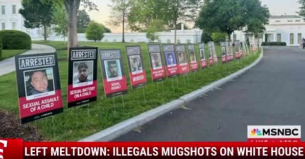 Left Meltdown: Illegals Mugshots On White House Lawn