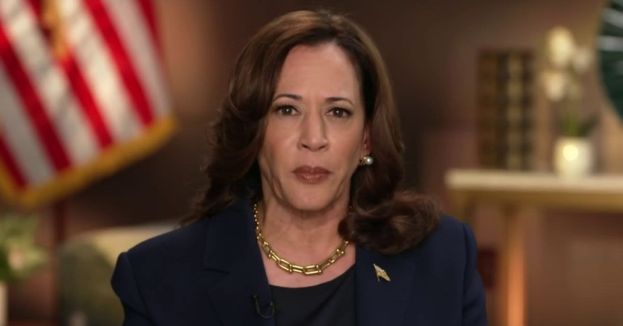 WATCH: MSNBC's Role In Kamala Harris Campaign Is BIGGER Than You Think