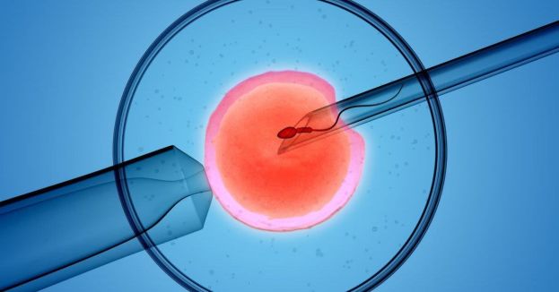 New Alabama Bill Aims To Protect IVF Providers Amid Debate Over 'Personhood'
