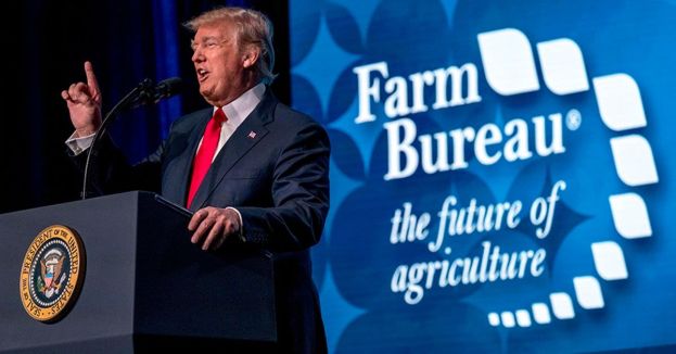 White House Launches 'OnlyFarms' Website To Tout $40 Billion In Farm Aid