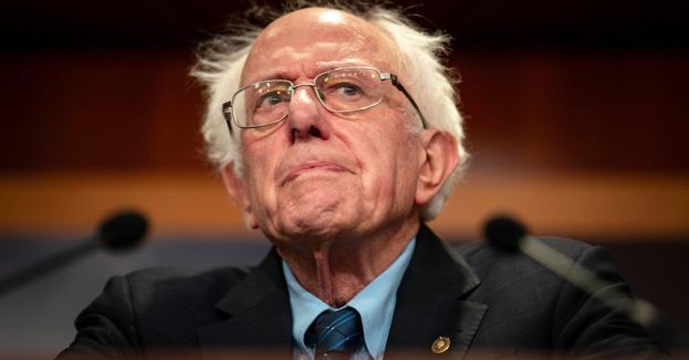 Megyn Kelly Guest Tells Bernie Sanders To Get His Celebrating BUTT Over To The White House!