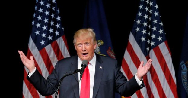 Team Trump And X Users Wipe The Floor With “No Kings” Protesters