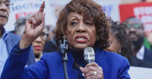WHOA! Maxine Waters' Latest Anti-DOGE Meltdown Takes A DISTURBING Turn!