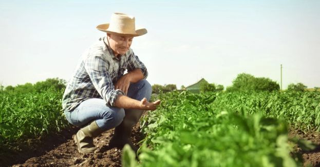 President Trump's Unexpected Twist On Immigration: Could Farmers Hold The Key?