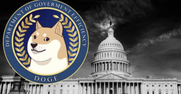 Musk: DOGE Fought Like A Hero, Got Treated Like A Villain!
