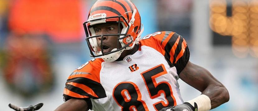 Chad Johnson Credits McDonald’s For His Great Health In The NFL