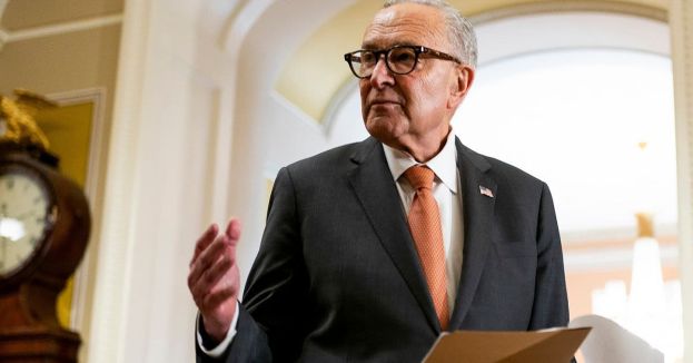 Schumer Has Caucus Support For Now, But The Midterms Could Still End His Leadership.