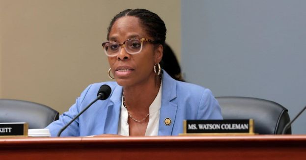 New Stacey Plaskett Epstein Ties Surface—This Just Got Awkward For Ro Khanna!