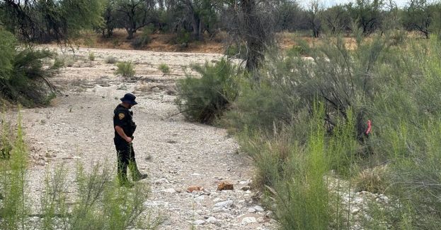 Human Remains Found In Tucson Desert Spark Questions About Possible Nancy Guthrie Connection
