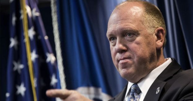 Watch: Homan Stuns Dana Bash, Debunks Claims About ICE And Racial Profiling