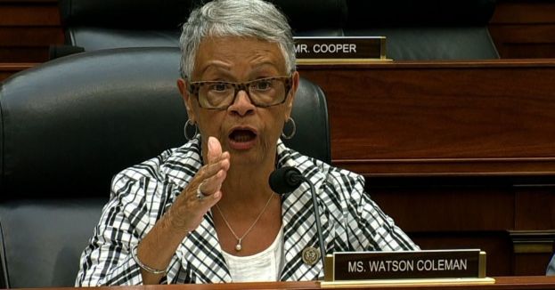 Watch: Democrat Stuns Capitol Hearing With Call To ‘Eliminate’ Trump From Office