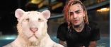 Lil Pump Makes Appearance At Doc Antle’s Zoo Wearing MAGA Hat
