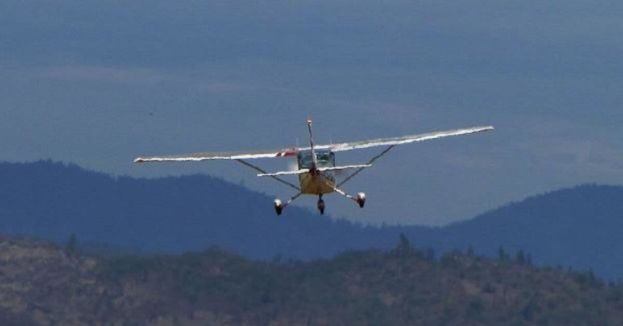 Report Reveals What Animal Was Spotted Moments Before Deadly North Carolina Plane Crash