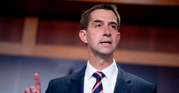 Democrat Challenging Sen. Tom Cotton Slammed As 'Dangerously Out Of Touch With Arkansas'