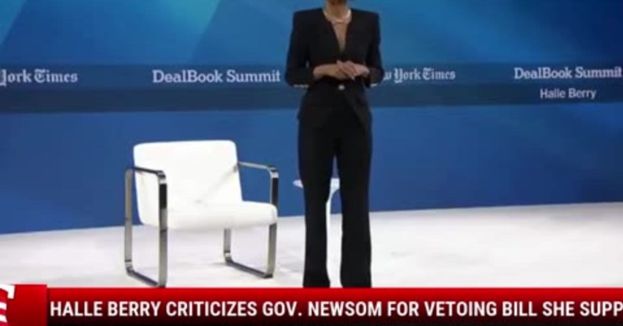 Halle Berry Criticizes Gov. Newsom for Vetoing Bill She Supported