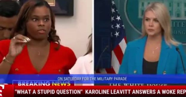 "What A Stupid Question"  Karoline Leavitt Answers A Woke Reporter