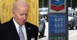 Neutered President: Biden Admits He Can&#039;t Do Anything To Solve Inflation