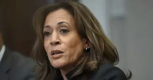 Kamala Harris' 'Secret' LA Crisis Call Goes To Voicemail!