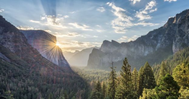 National Park Service Shake-Up As Trump’s Handpicked Reformer Bows Out