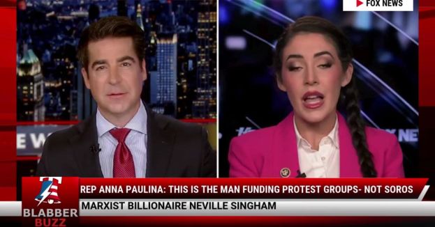 Rep Anna Paulina: This Is The Man Funding Protest Groups- Not Soros
