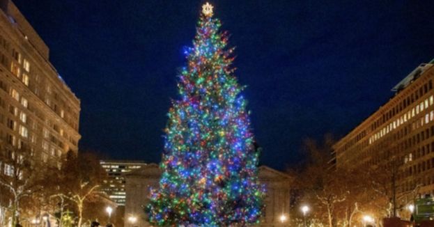 Portland’s Tree Ceremony Ditches Jesus, Chants “Free Palestine” Instead